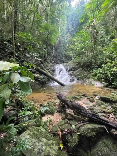 Terreno no Sana com ótima localização e vista única e privilegiada para as montanhas!