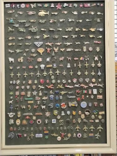 Coleção com cerca de 285 Pins, boton de diversos modelos.