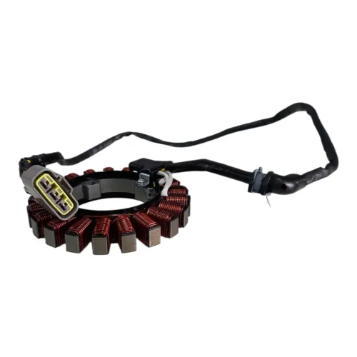 Estator Bobina Bmw Gs 1300 2025