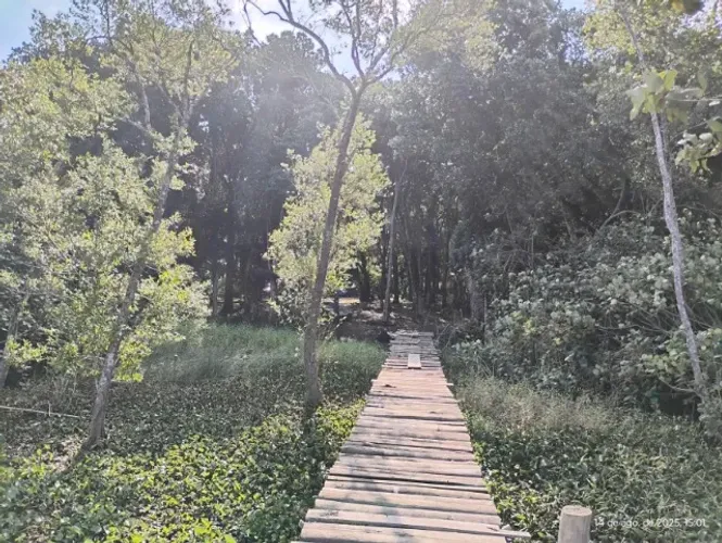 Chácara/Rancho de Pesca em Iguape/Mar Pequeno/Rio Ribeira de Iguape/3000 m2