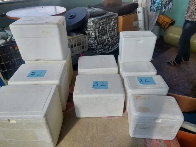 Caixas térmicas de isopor para transporte de produtos