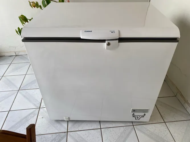 Freezer consul 