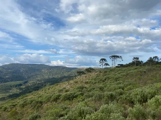 Terreno/Sítio/Fazenda/Chácara à venda em Urubici