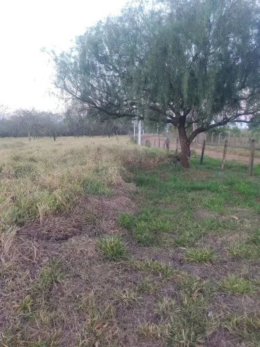 Terreno de chácara 1.000 metros quadrados por 80 mil reais
