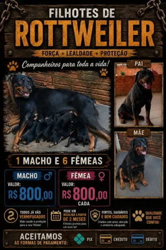 Venda