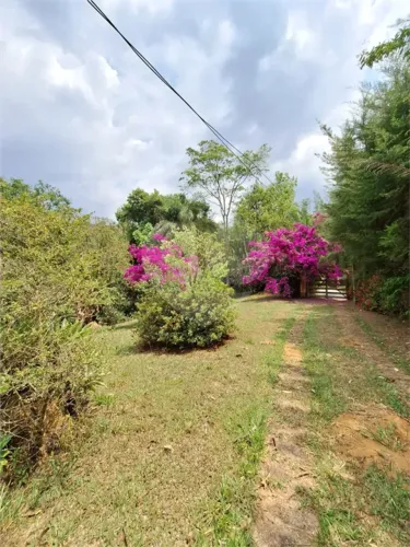 Chácara com Rio nos Fundos | 6.040m² com Piscina e Escritura