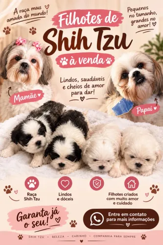 Cachorro shitszu