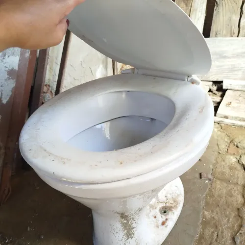 Vaso sanitário