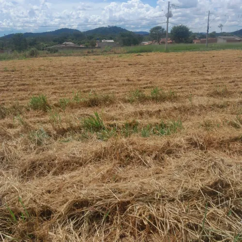 Lote residencial paranaiba