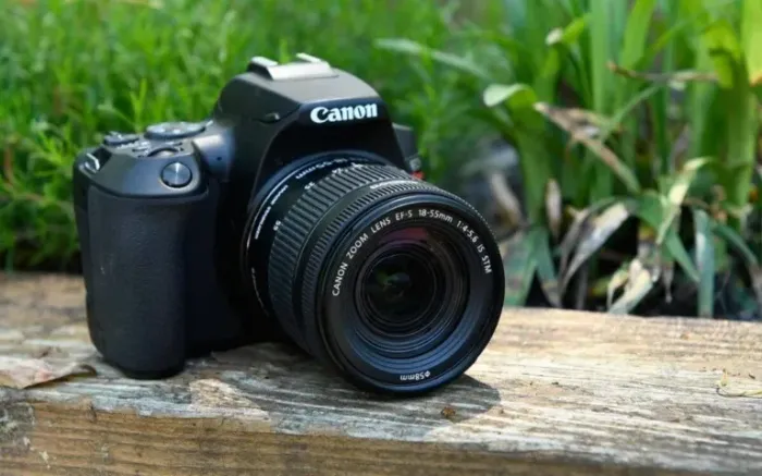CANON SL3 COM LENTE 18-55 E 50 MM OPORTUNIDADE PRA FOTOGRAFIA
