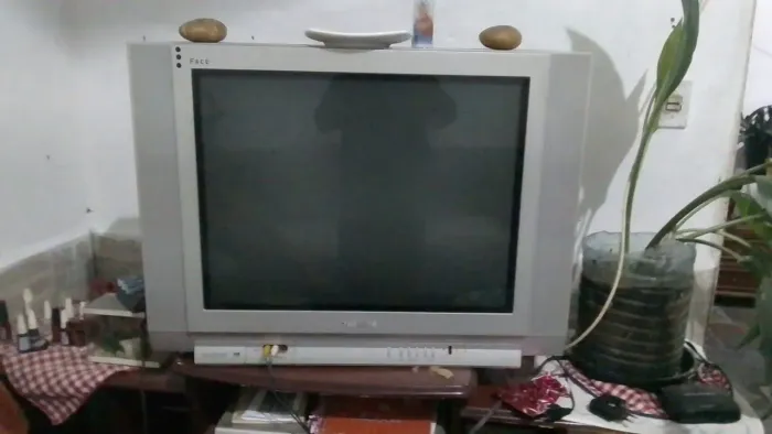 Tv 29