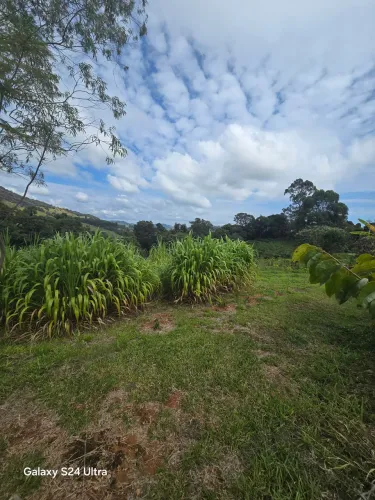 Terreno Baião 