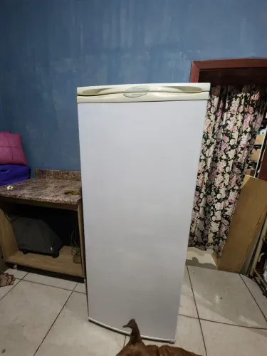 Geladeira electrolux 310 Litros 127Volts funcionando perfeitamente 