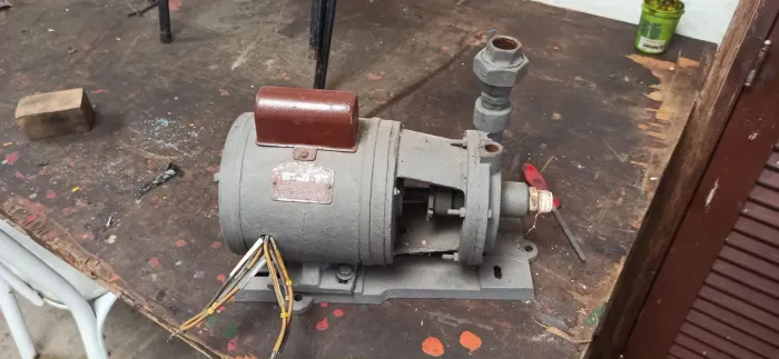 Bomba d'água motor 110/220V