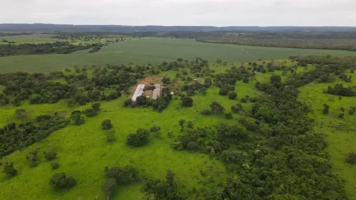 Fazenda à venda em Paraíso do Tocantins com 25 alqueires, dupla aptidão e estrutura comple