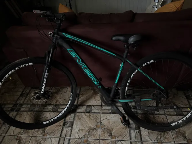 Bicicleta Aro 29 Ever Freio A Disco Hidraulico 24v Mtb