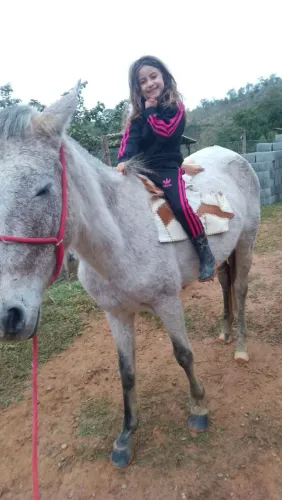 Égua tordilha 6 anos