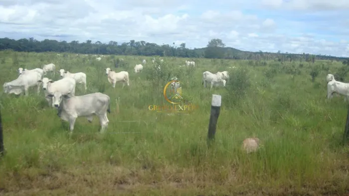 Fazenda à venda em Nova Canaã do Norte MT