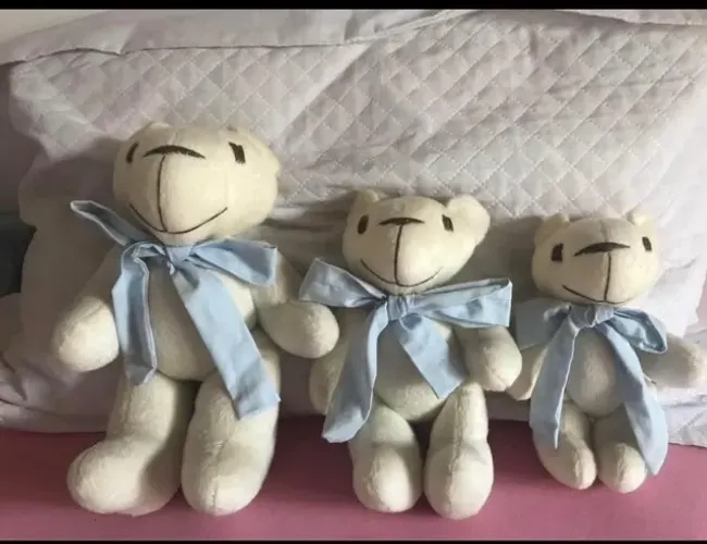 Trio de ursos