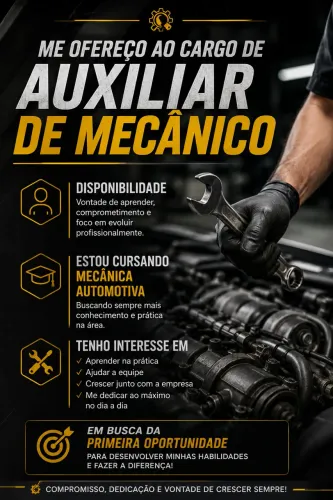 Auxiliar de mecânico 