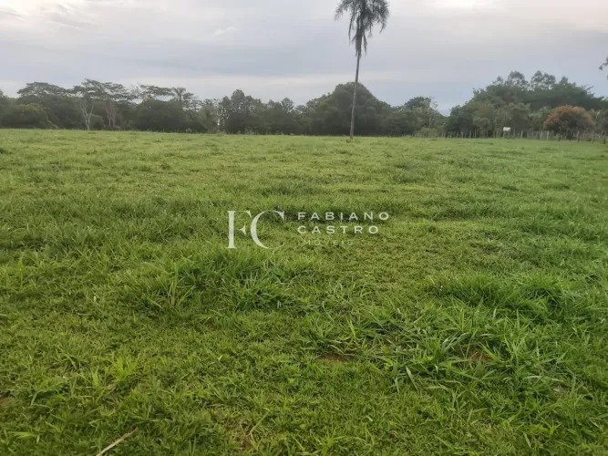 Sítio à venda no bairro Área Rural de Neves Paulista - Neves Paulista/SP