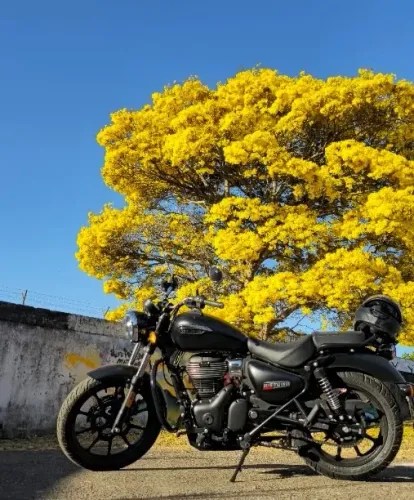 Royal Enfield Meteor Stellar 350cc ABS 2024
