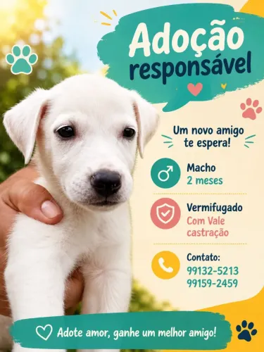 Adoção responsável 