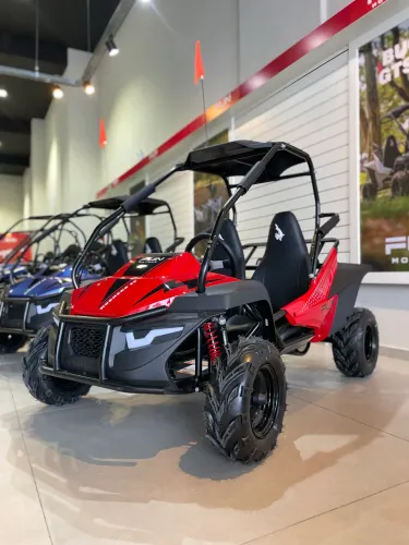 Mini buggy 