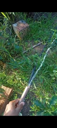 Terreno de 3 hequitares nós coqueiros