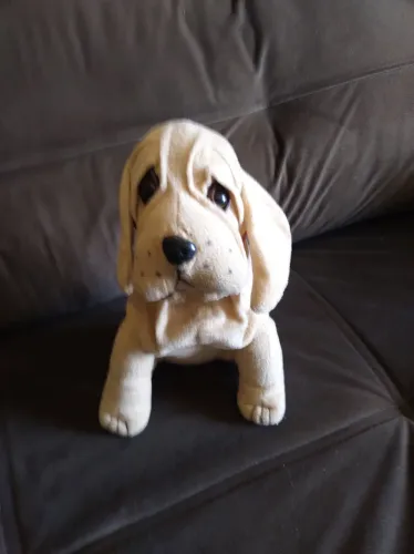 Cachorro pelúcia