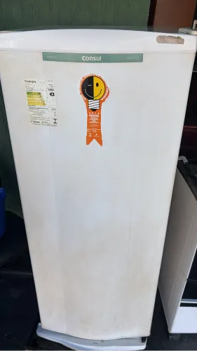 Geladeira 220v
