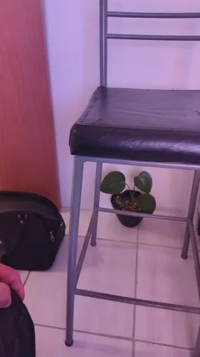 Banqueta para balcão comércio