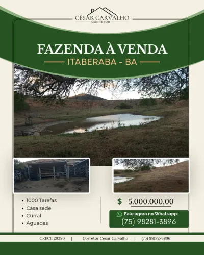 FAZENDAA EM ITABERABA - 1000 TAREFAS
