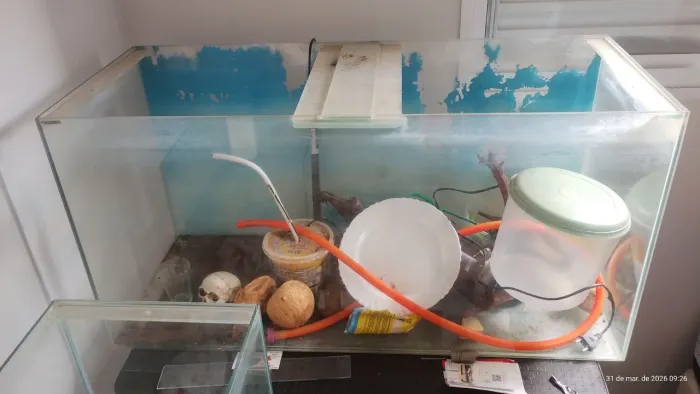 Aquário 200 litros