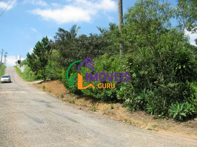 AREA - LARANJA AZEDA - SP