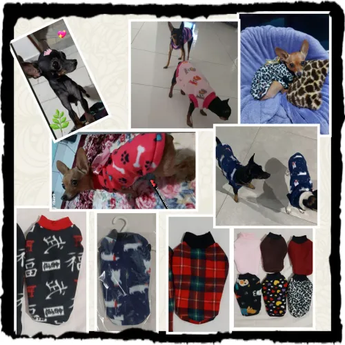 Roupa Pet para cachorro, P , Pinscher