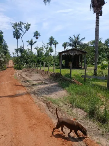 Vendo  336 hectares   por 500 mil aceito propostas 