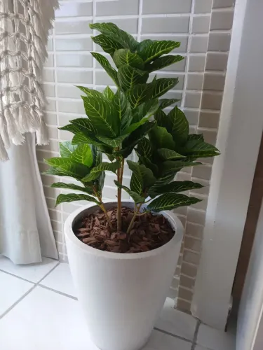 Vendo arranjo com vaso