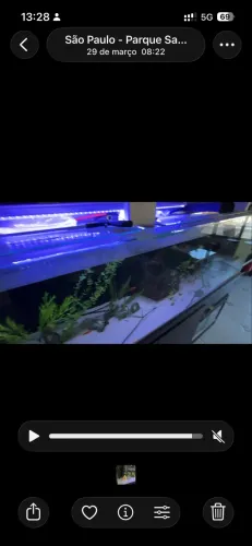 Aquario Jumbo 240x60x60 + Movel + Sump