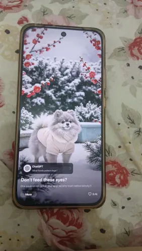 Celular Oppo A6 PRO 5g