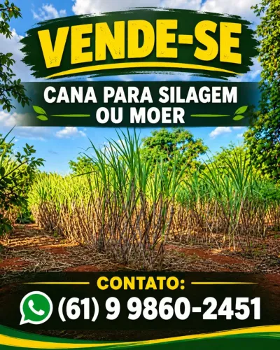 Vende-se Cana