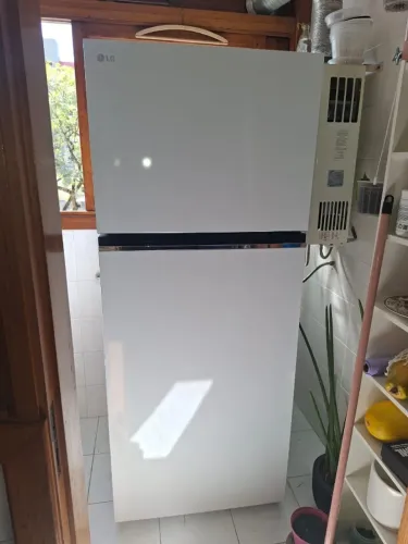 Geladeira 2 Portas 375 Litros LG Frost Free Inverter