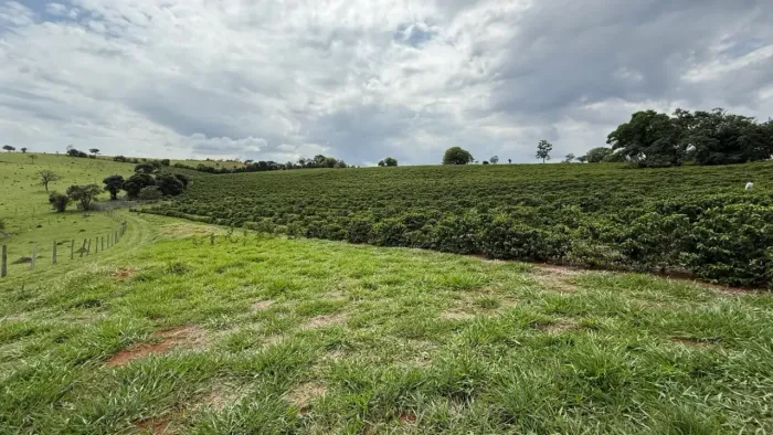 Lindo sitio a venda em Ouro Fino Minas Gerais