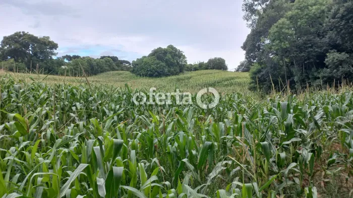 Chácara em Araucária / Lagoa Grande