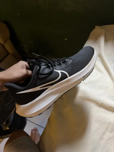 Nike pegasus 39