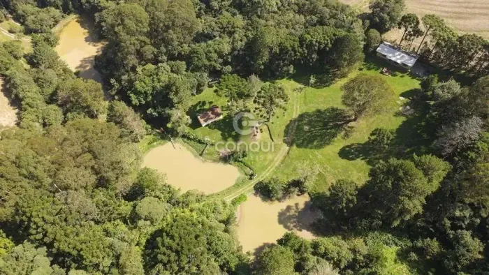 CHÁCARA DE 45.000m² EM SÃO JOSÉ DOS PINHAIS 3 CASAS, NASCENTES, ÁREA PRODUTIVA E DOCUMENT