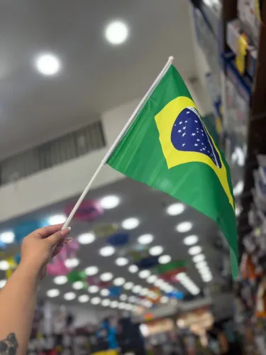 Bandeira Do Brasil De Mao
