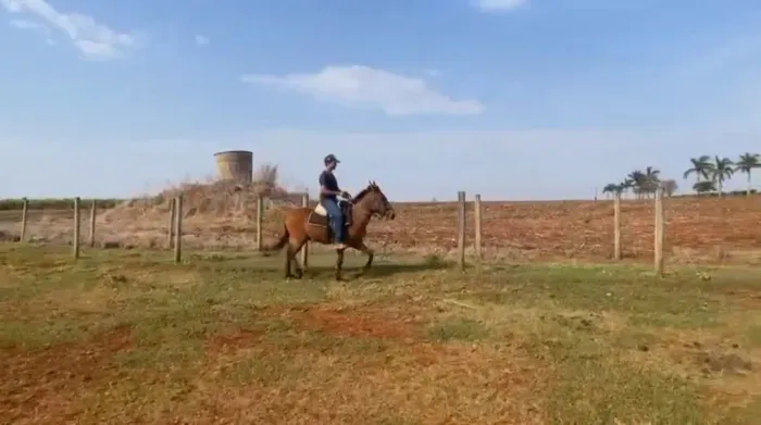 Burro avenda 2 anos e meio ?