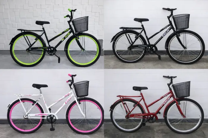 Bicicleta tipo poti 26