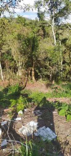Terreno campo do coelho
